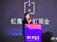 虹魔方趙亮：用戶運營+智能營銷，下一個電視廣告市場爆發(fā)的增漲點
