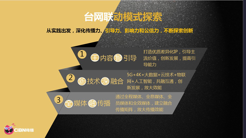 國(guó)廣東方宋麗杰：音樂(lè)演藝內(nèi)容在臺(tái)網(wǎng)聯(lián)動(dòng)模式下的探索與發(fā)展-DVBCN