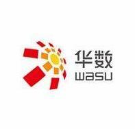 華數(shù)傳媒董事沈林華辭職