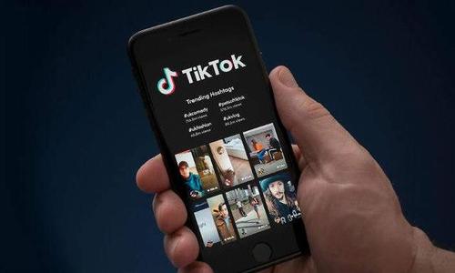 蓬佩奧：希望TikTok和微信等“不可信的”中國(guó)科技應(yīng)用從美國(guó)應(yīng)用商店下架