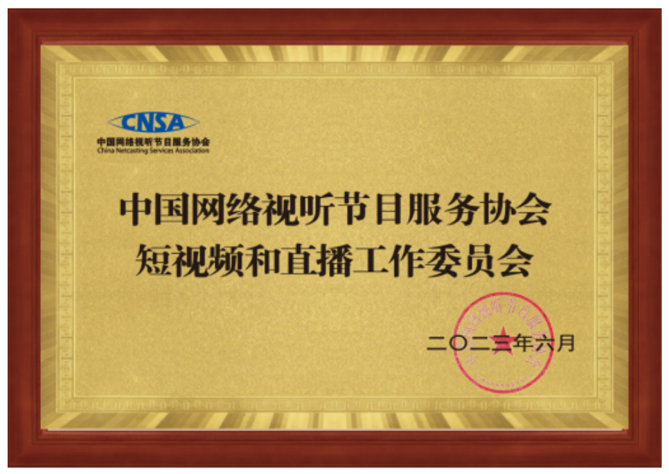 中國(guó)網(wǎng)絡(luò)視聽(tīng)節(jié)目服務(wù)協(xié)會(huì)新設(shè)立（調(diào)整）三個(gè)分支機(jī)構(gòu)